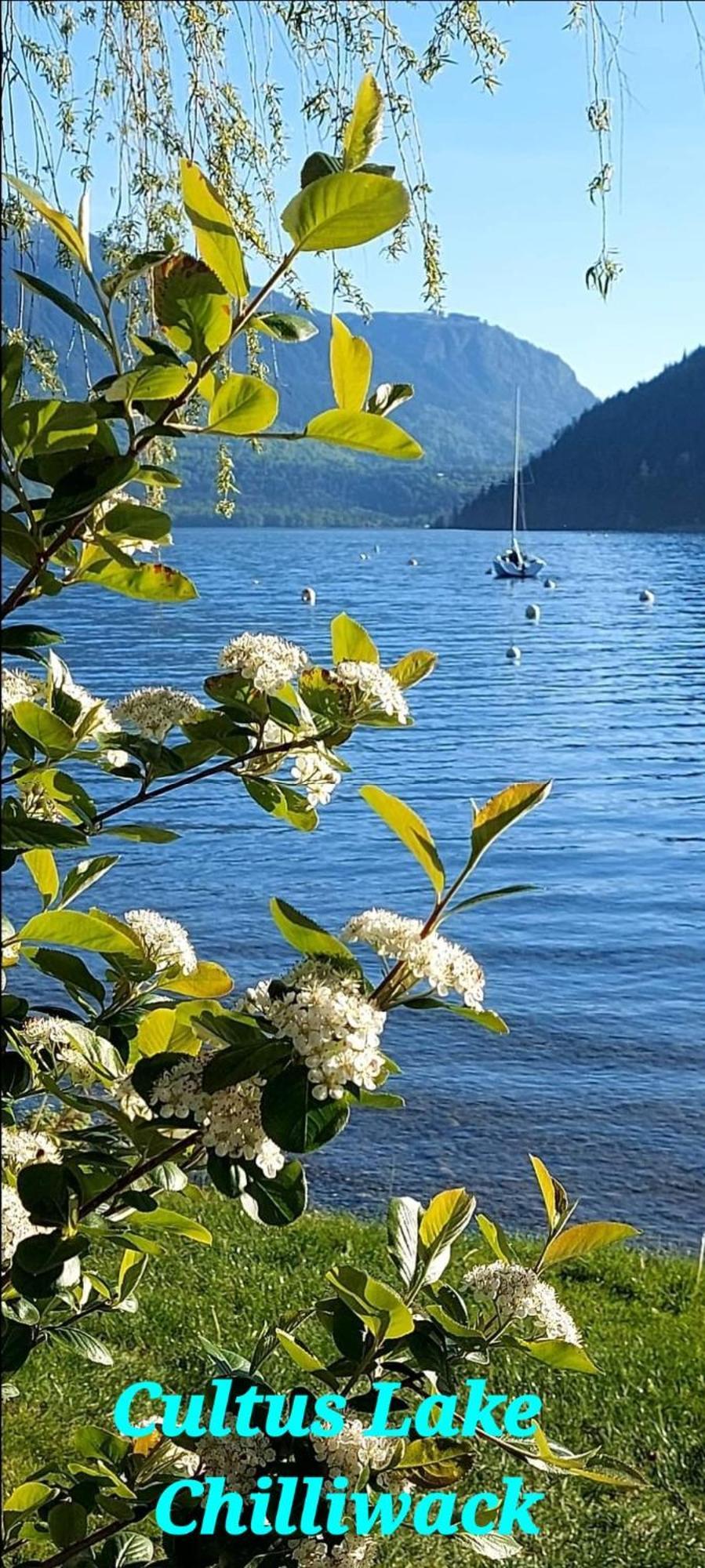 Private 2 Bedrooms Suite Near Hwy 1, Cultus Lake, Heritage Park, Fishing, Coliseum Chilliwack Quarto foto